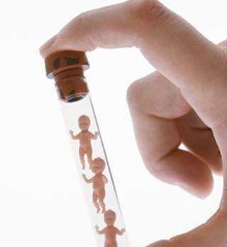 胚胎实验室